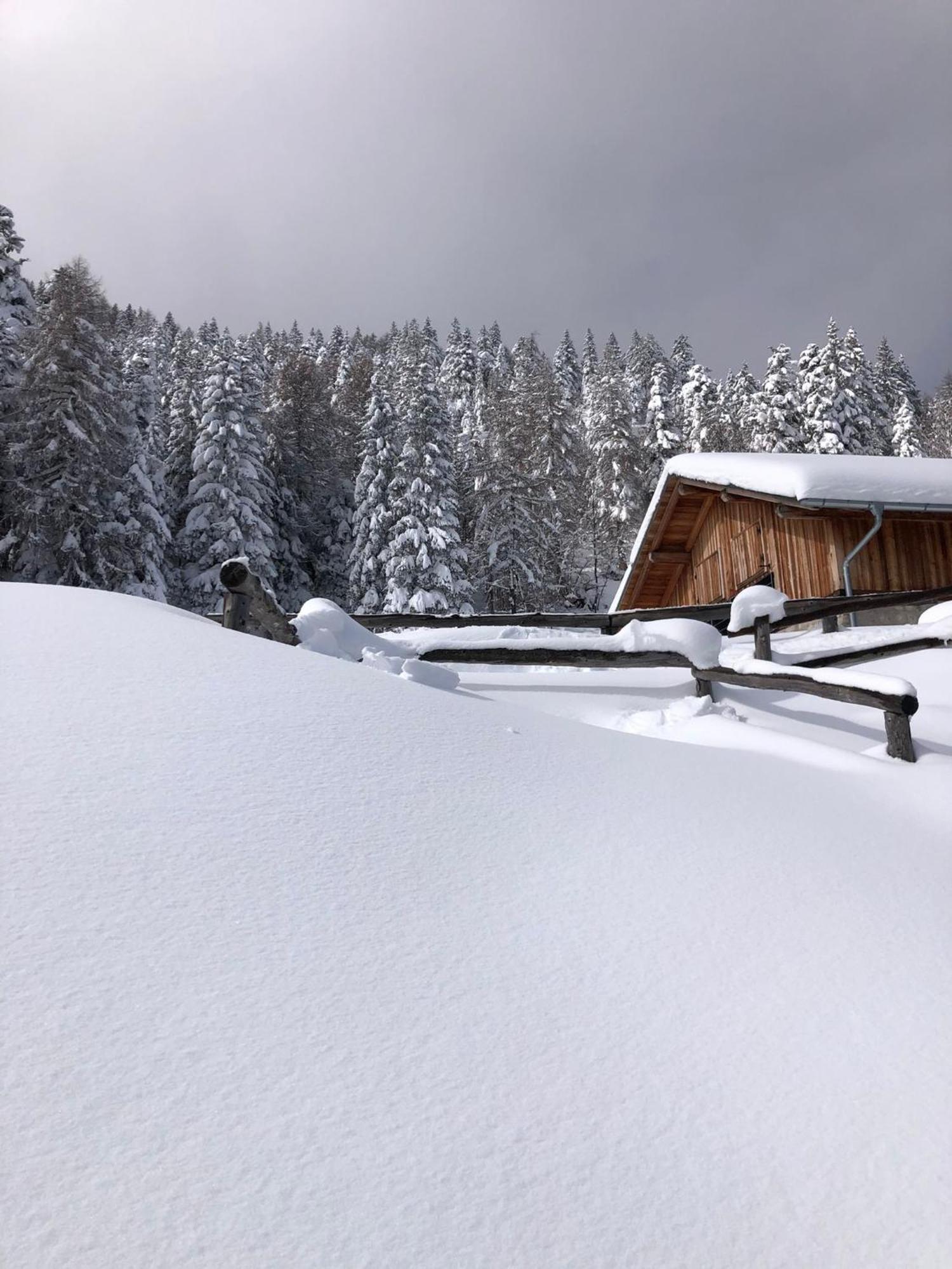 Brenta Luxury Chalet Sporminore Exteriör bild